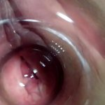take a deep look into NICKIS PUSSY!