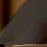 JANA MILIC Nude