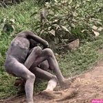 Naked Wrestlers And Africas Greatest Lake: My Travels In South Sudan And Uganda