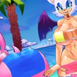 Rouge and Amy are Pornstars VER. B by Formula9 -- Fur Affinity dot net