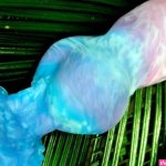 Strange Bedfellas Tyv Fantasy Dildo Review Phallophile Reviews