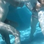 Huge Trans Pool Party