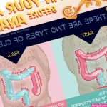 Advanced Guide to Having Anal Sex Step-by-Step Visuals