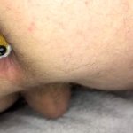 Plush fox peeking out of me