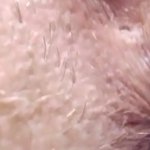 Extreme close up :Clit PussyAsshole