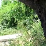 Blonde teen girl street PUBLIC fuck in broad daylight