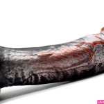 The Aveo Realistic Dildo