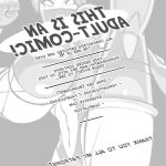 BattleRads Ninjas 2