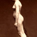 Jeune femme nue figure entière de profil années 1860