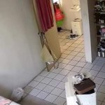 IP camera masturbation part 1
