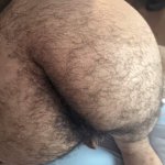 Free gay hairy ass Porn Photo Galleries