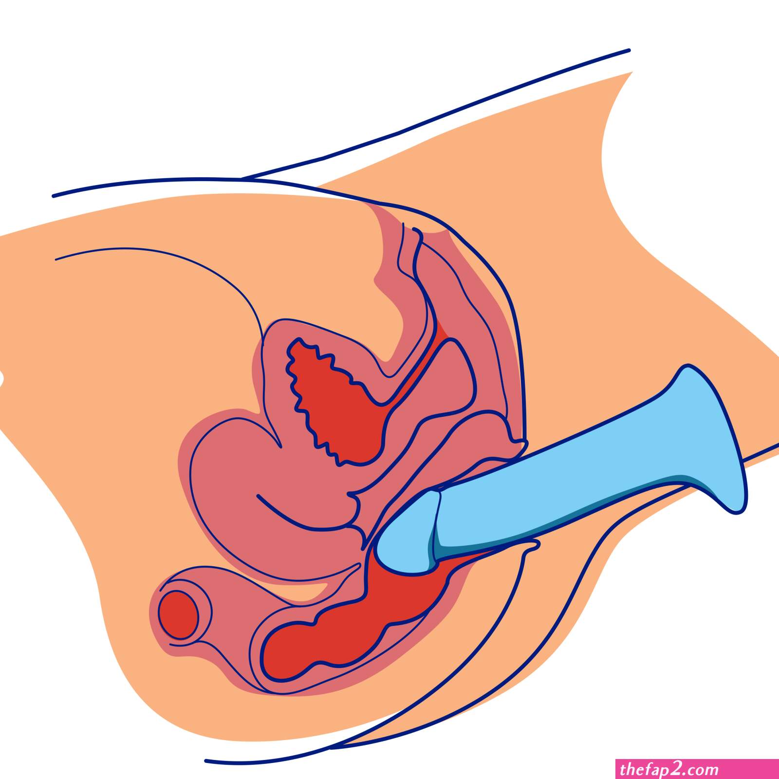 Dildo anal sex