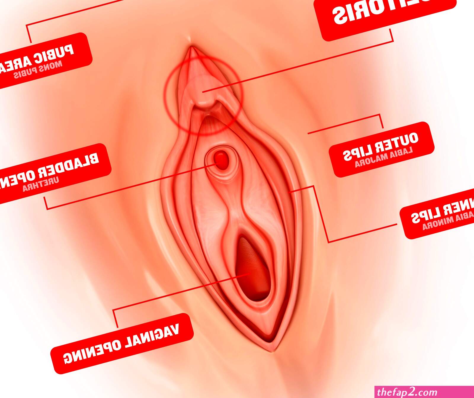 How to fingering