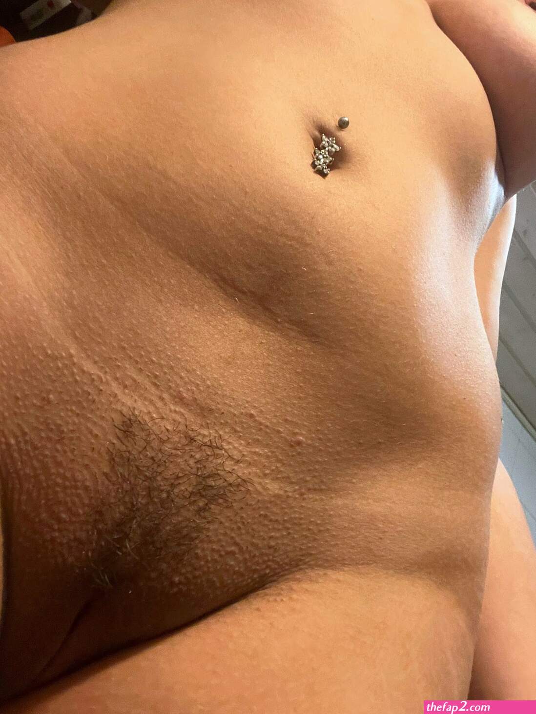 Pilionlycostarica nude
