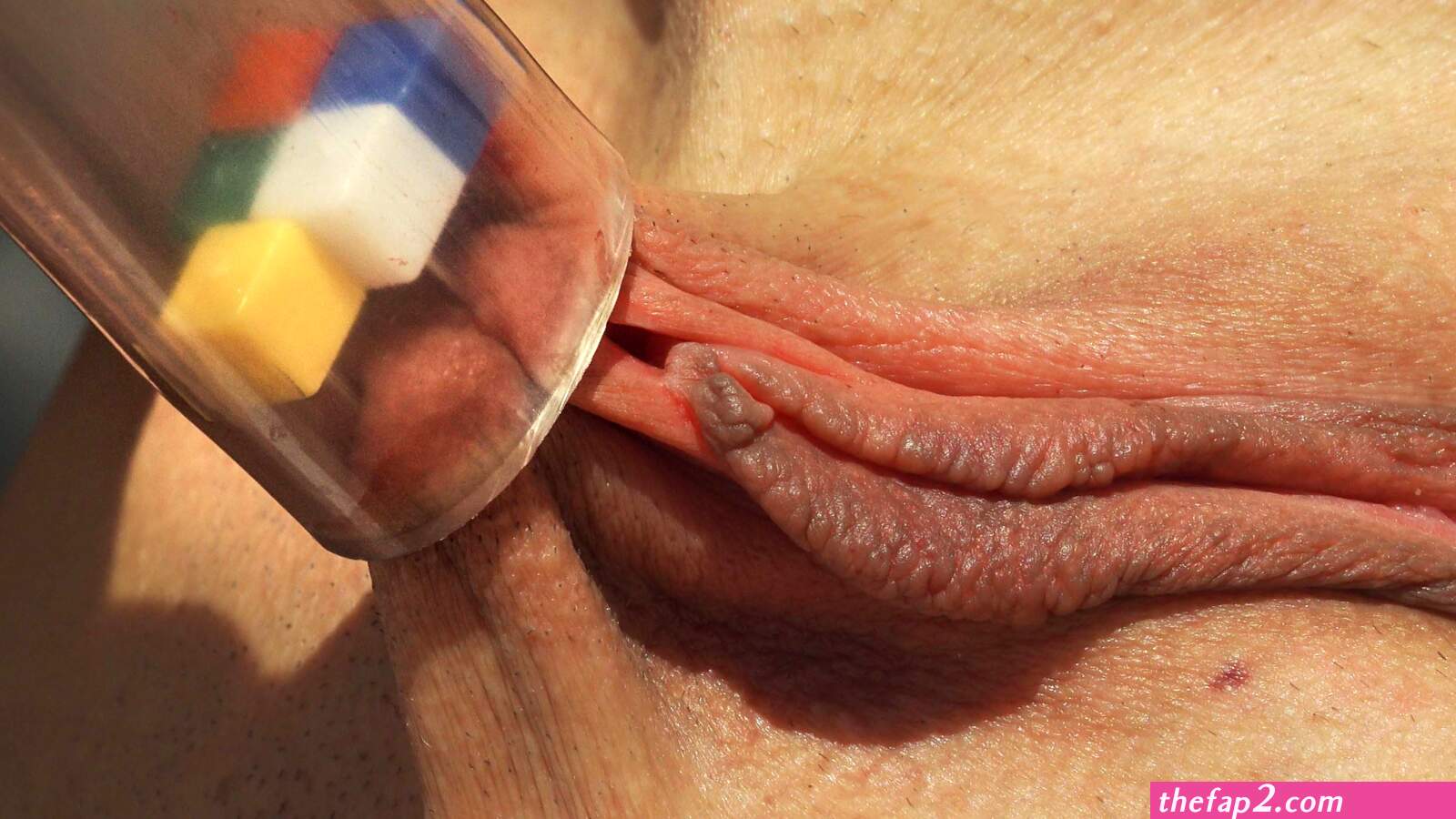 Vacuum cleaner pussy